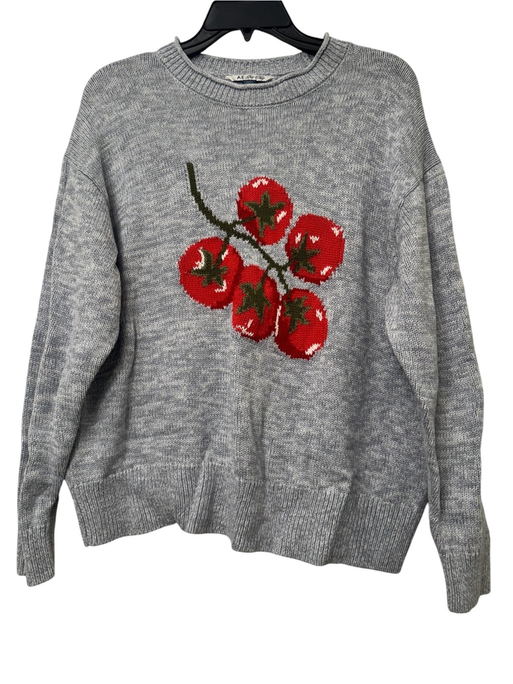 American Eagle Big Hug Oversized Crewneck Sweater with Red Tomato Motif - Picture 3 of 6